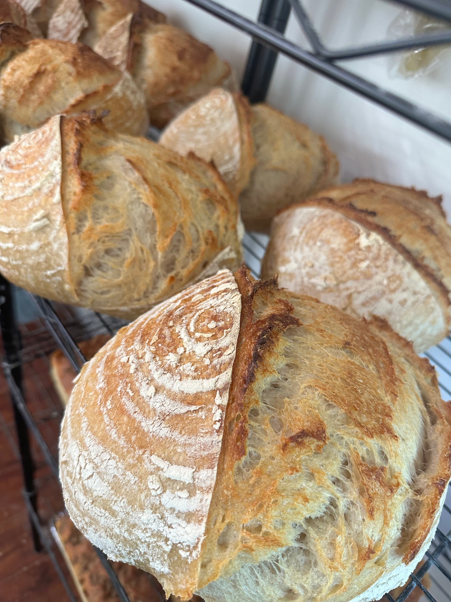 Sourdough Bakes