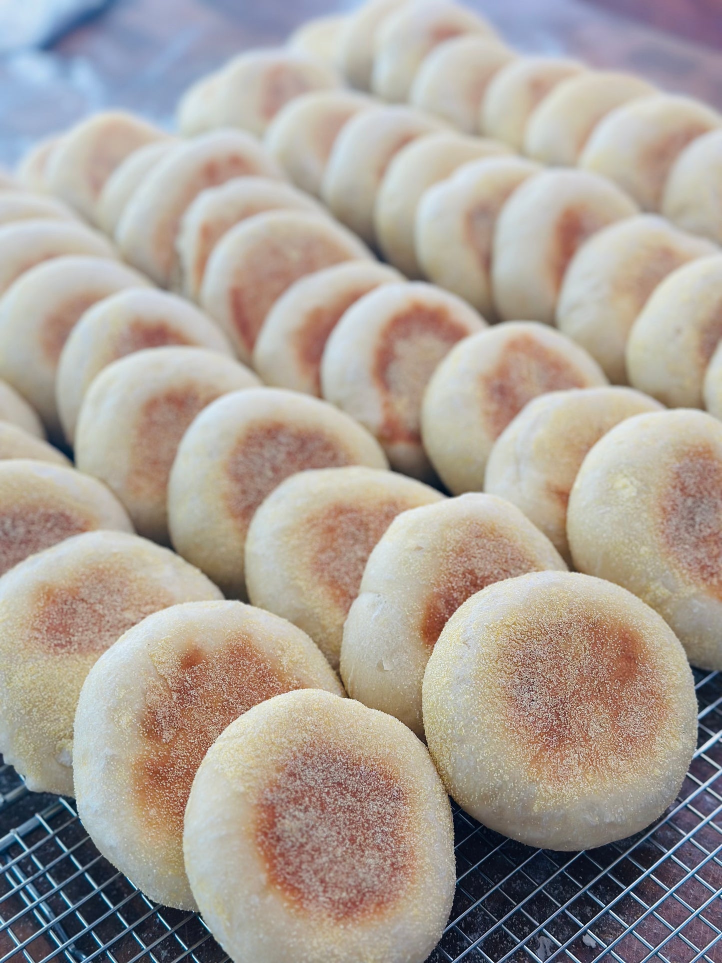 Sourdough English Muffins