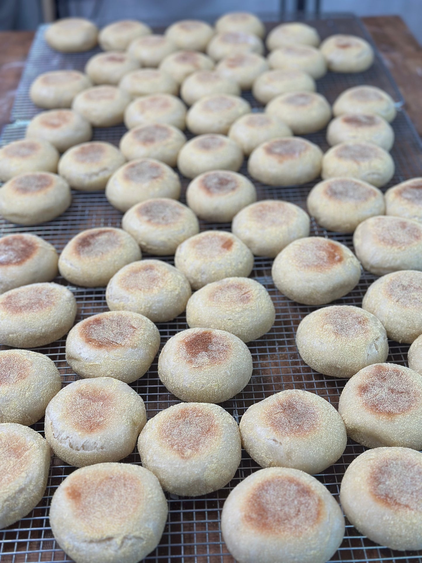 Sourdough English Muffins