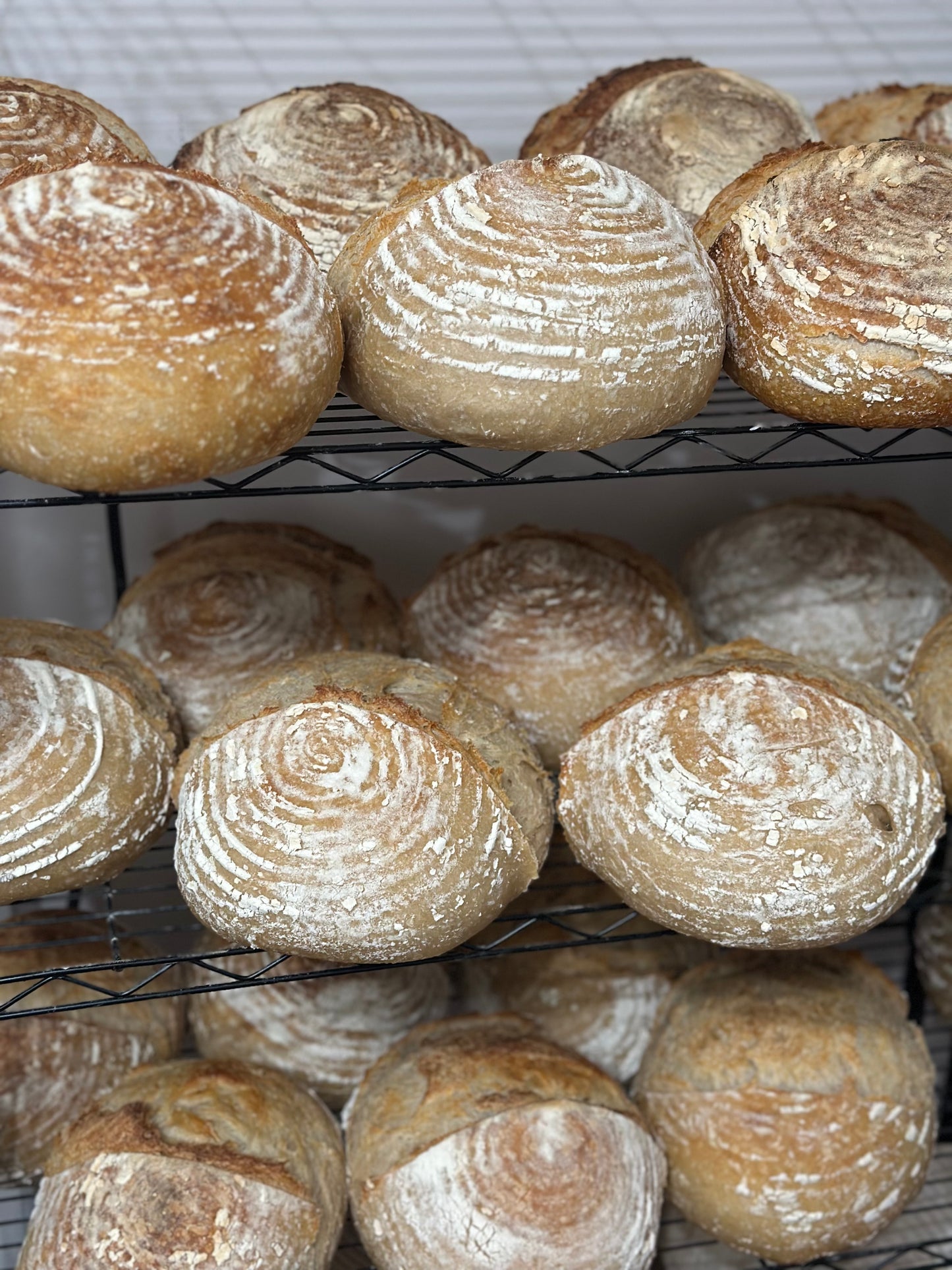 Artisan Sourdough Loaf